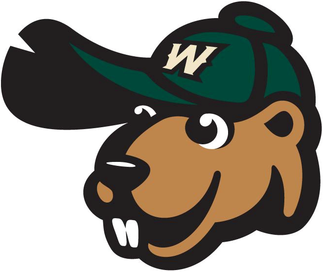 Wisconsin Woodchucks 2010-Pres Alternate Logo v3 iron on transfers for T-shirts